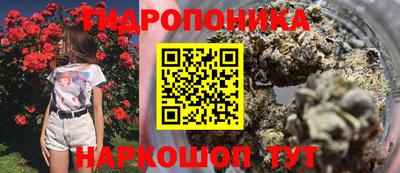 мескалин Кингисепп