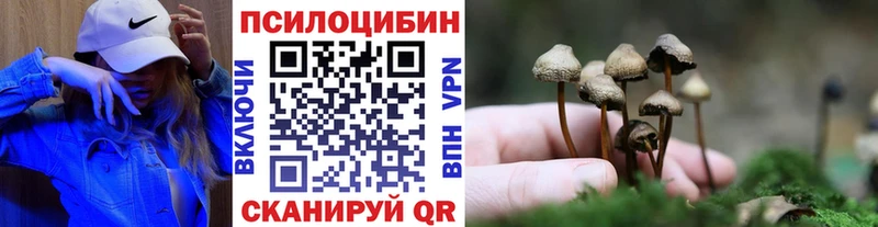 наркотики  Минусинск  Псилоцибиновые грибы GOLDEN TEACHER 